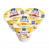 Fruit Yogurt Assorted Flav 20 x 150g